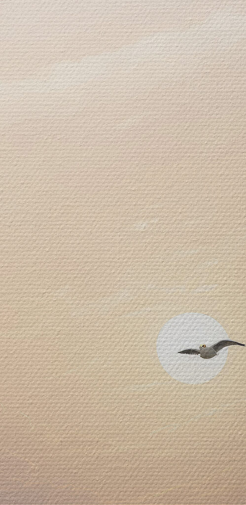 A seagull flying over water