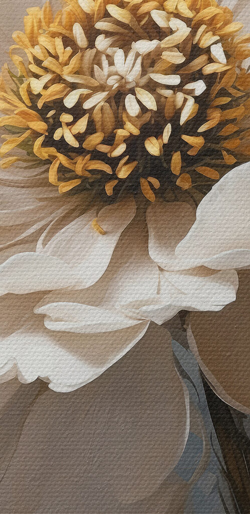 A white flower with yellow center