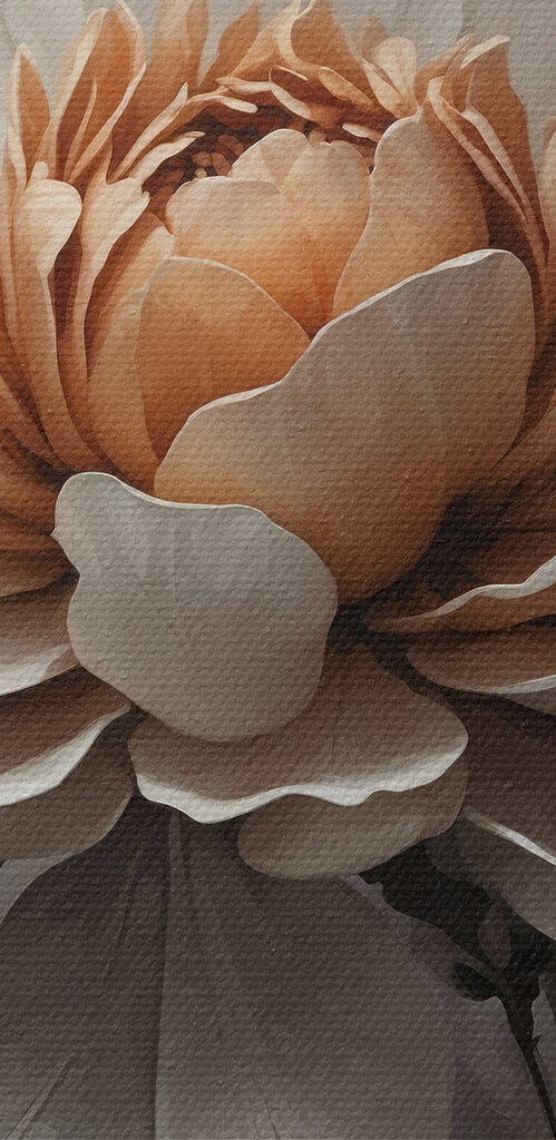 A close up of a flower A close up of a flower