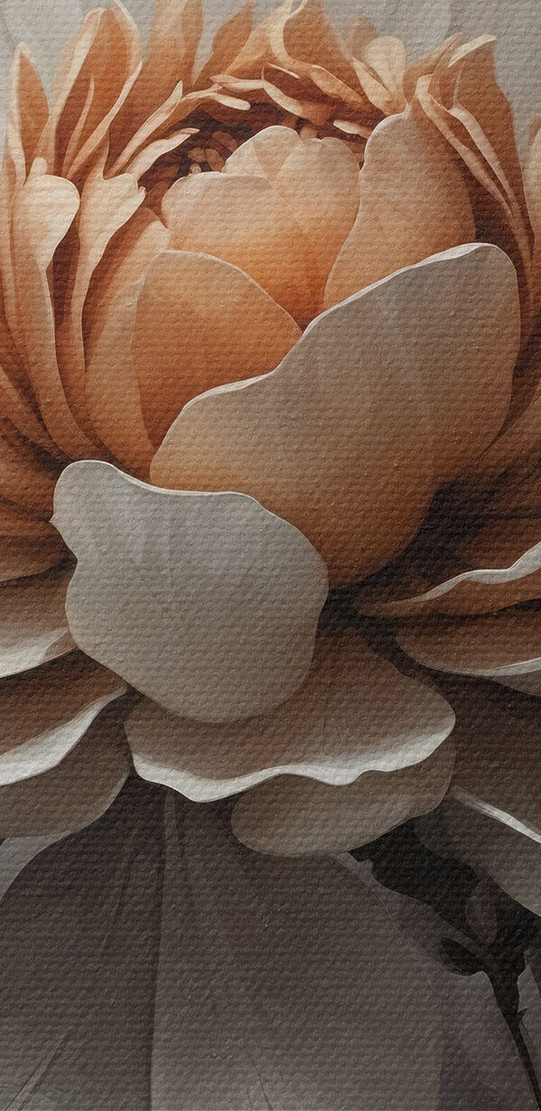 A close up of a flower A close up of a flower