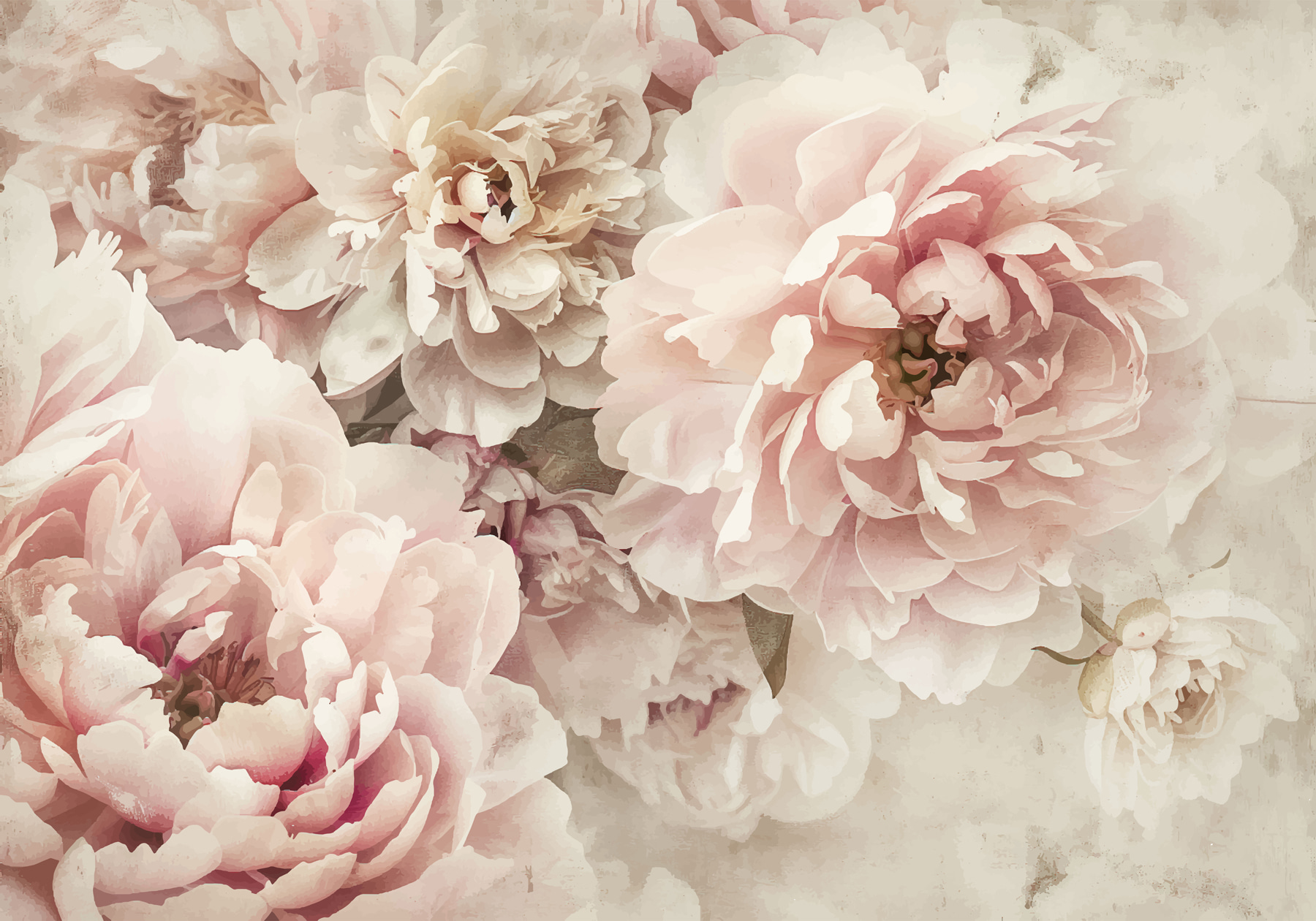 A group of pink flowers