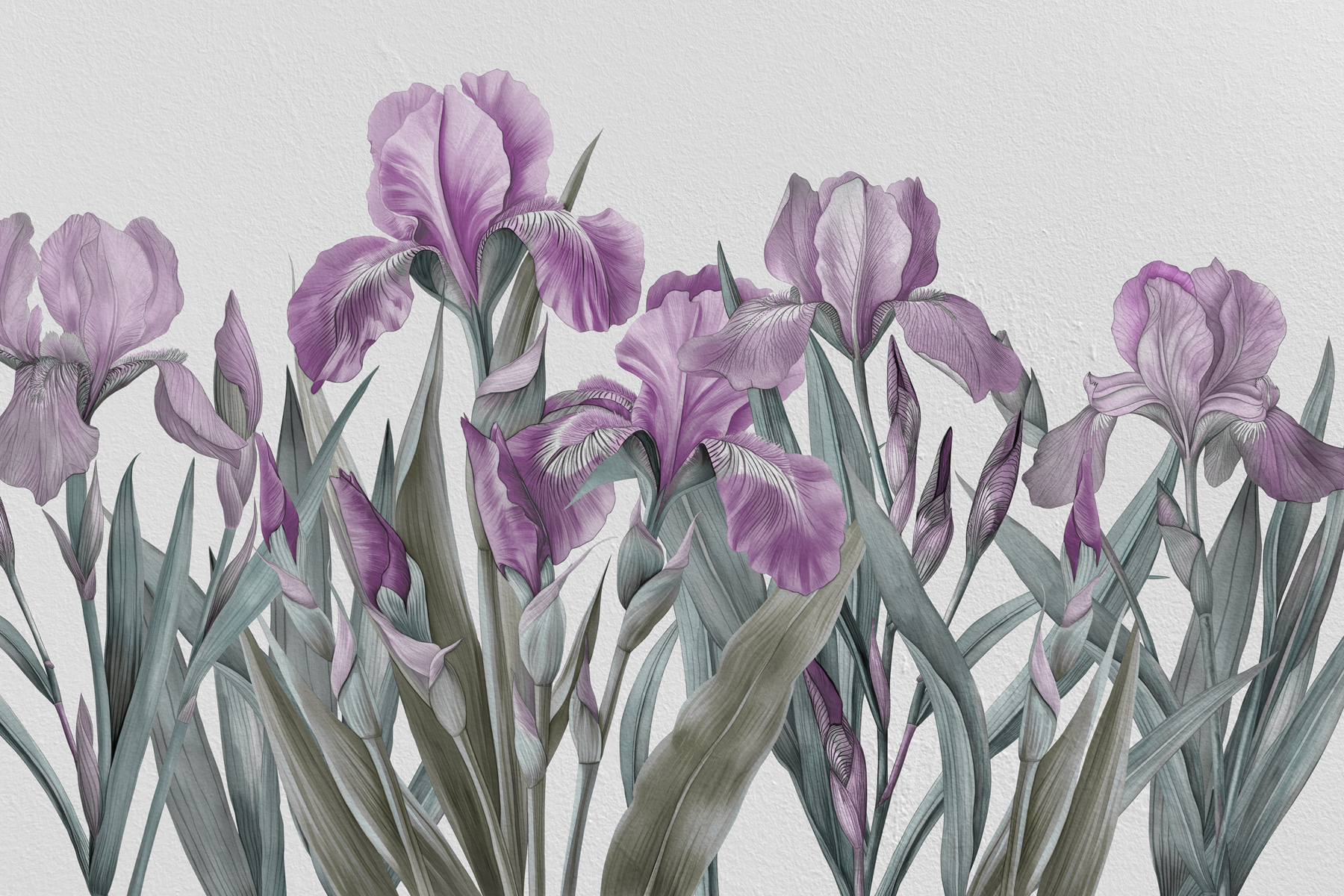 A group of purple flowers A group of purple flowers