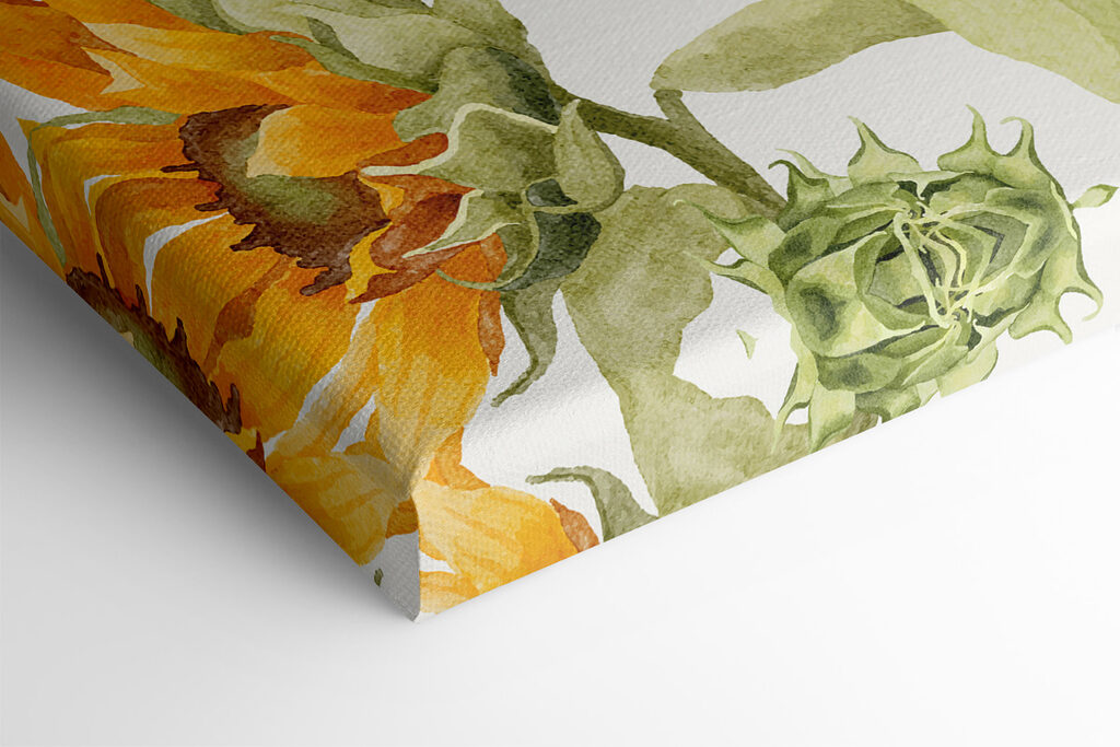 A close up of a sunflower A close up of a sunflower