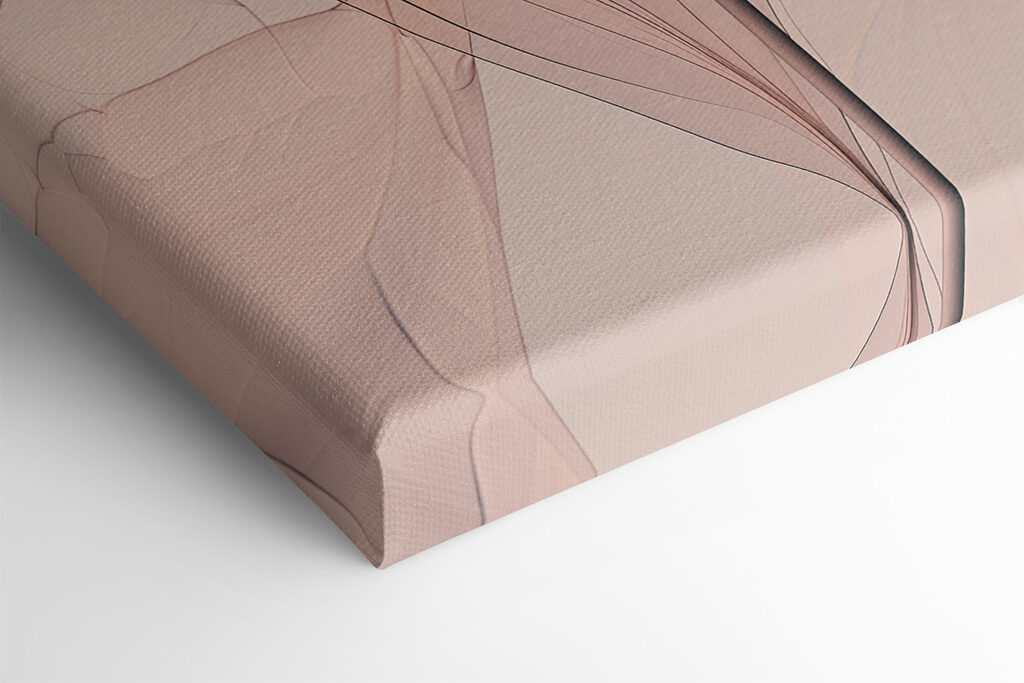 A group of dandelions with white and orange lines