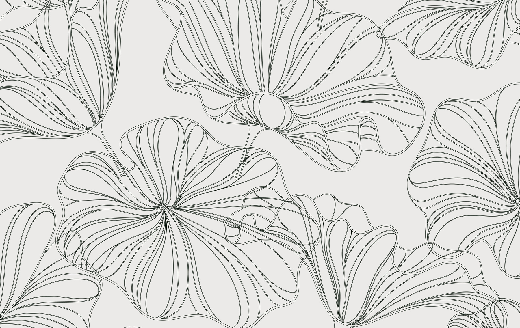 Pattern of flowers on a white background