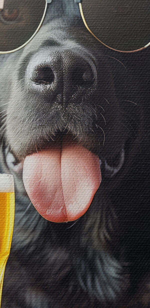Dog wearing sunglasses and holding a glass of beer Dog wearing sunglasses and holding a glass of beer