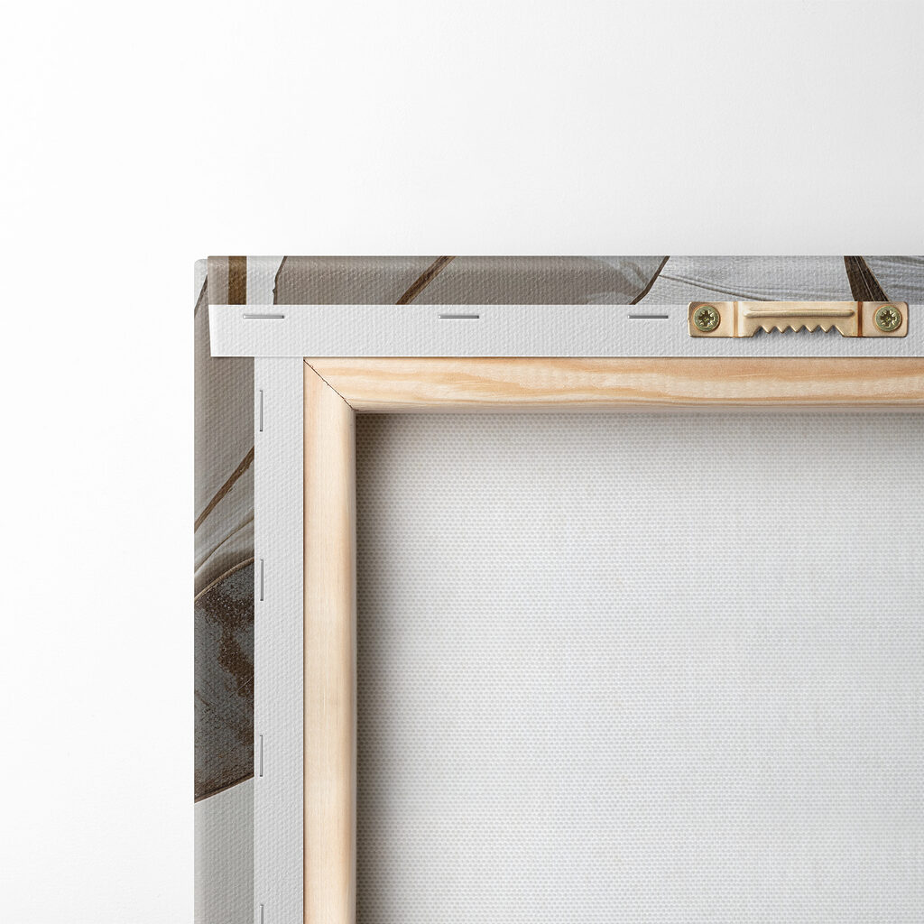 Close up of a leaf Close up of a leaf