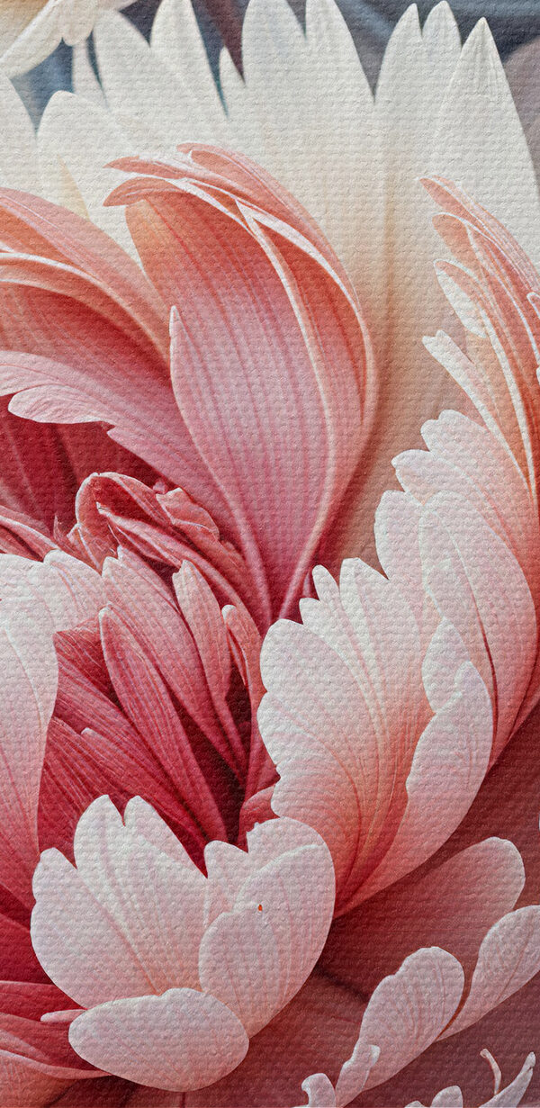 Close up of flowers Close up of flowers