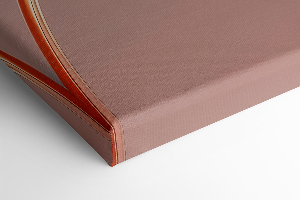 Close up of a flower Close up of a flower