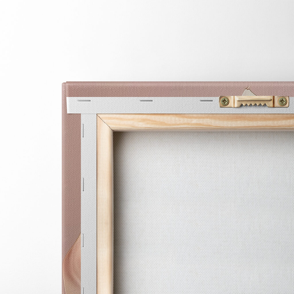 Close up of a flower Close up of a flower