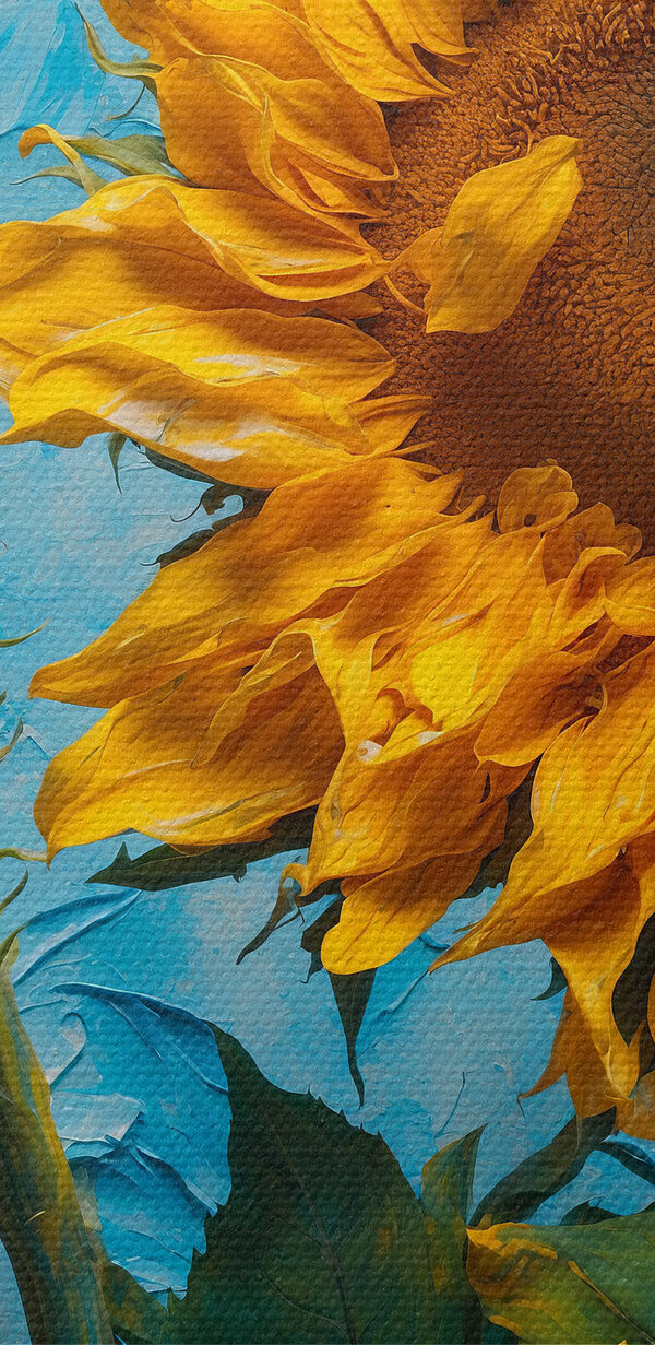 Close up of a sunflower Close up of a sunflower