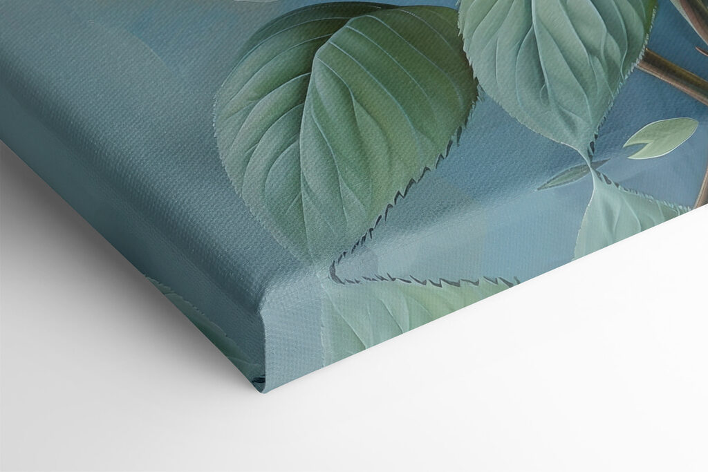 Close up of a flower Close up of a flower