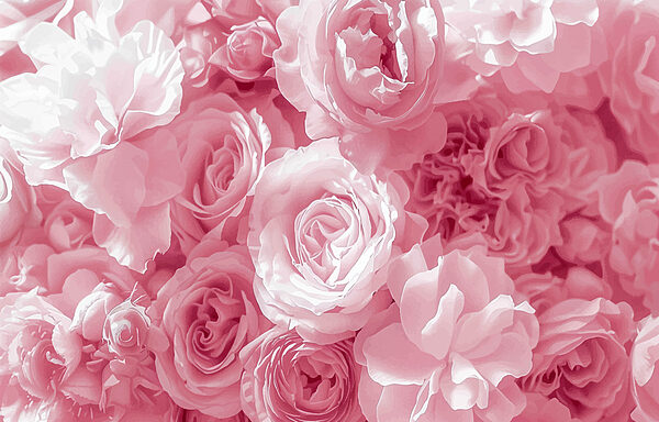 Group of pink flowers Group of pink flowers