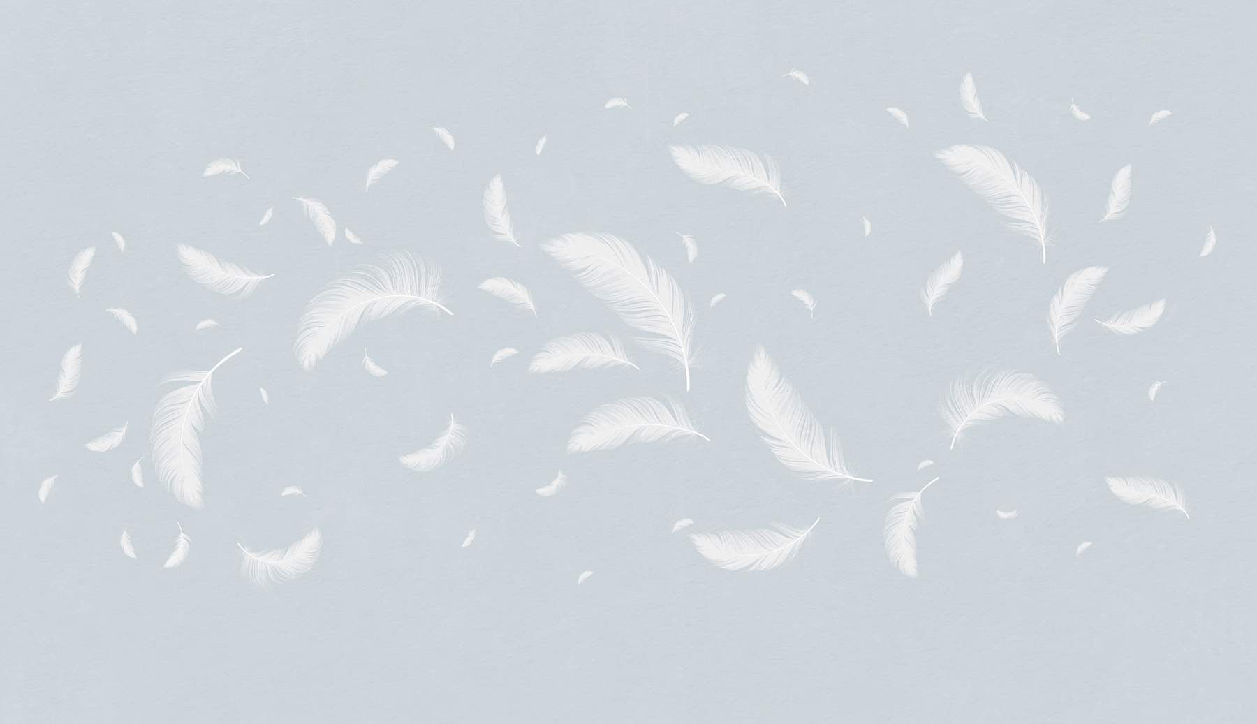 White feathers floating in the air White feathers floating in the air