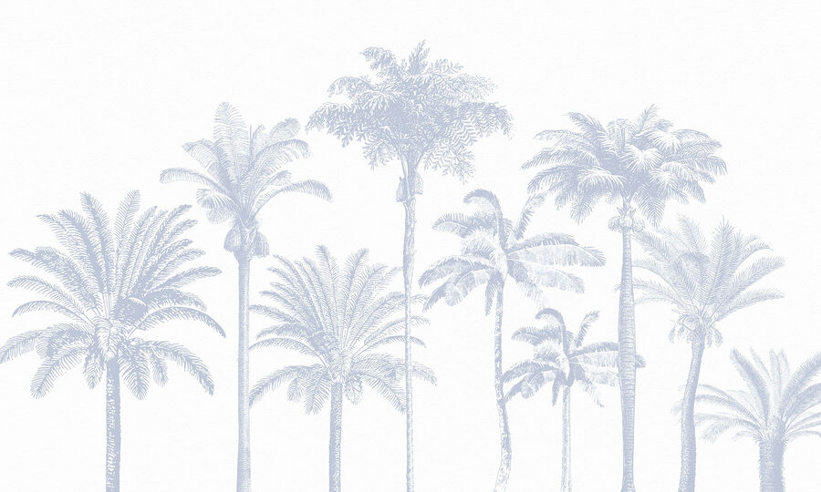 Group of palm trees Group of palm trees
