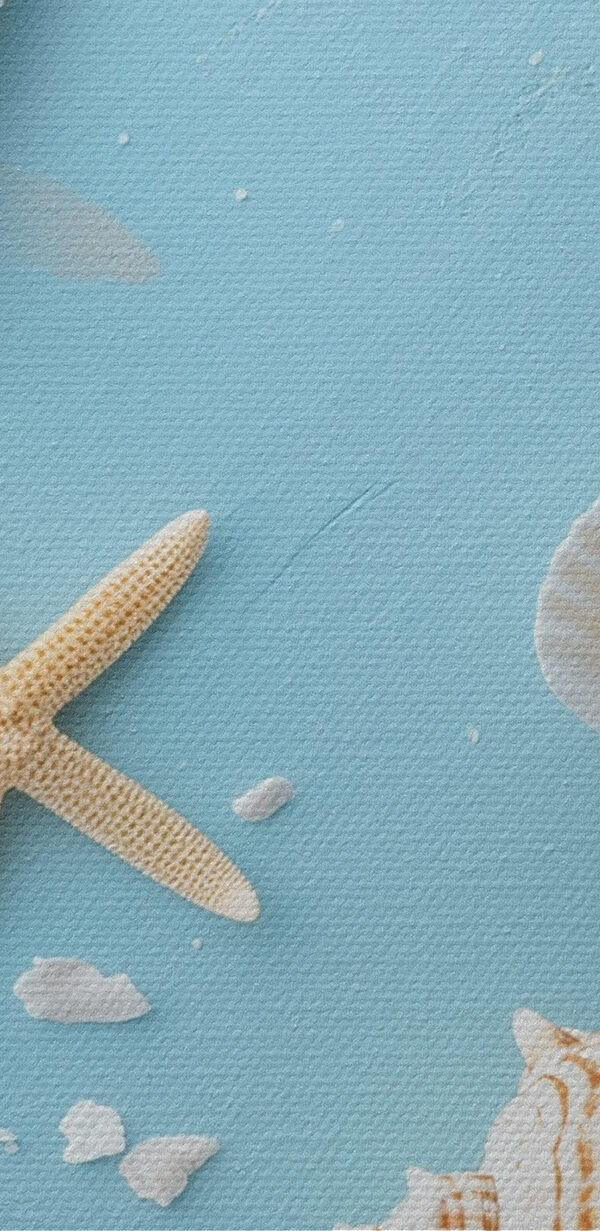 Group of seashells and starfish on sand Group of seashells and starfish on sand