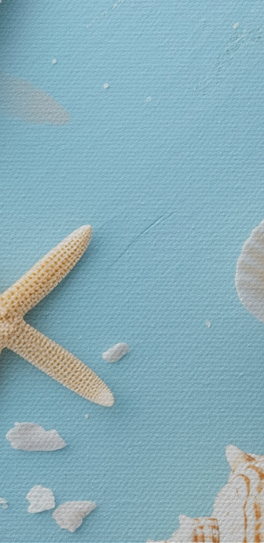 Group of seashells and starfish on sand Group of seashells and starfish on sand