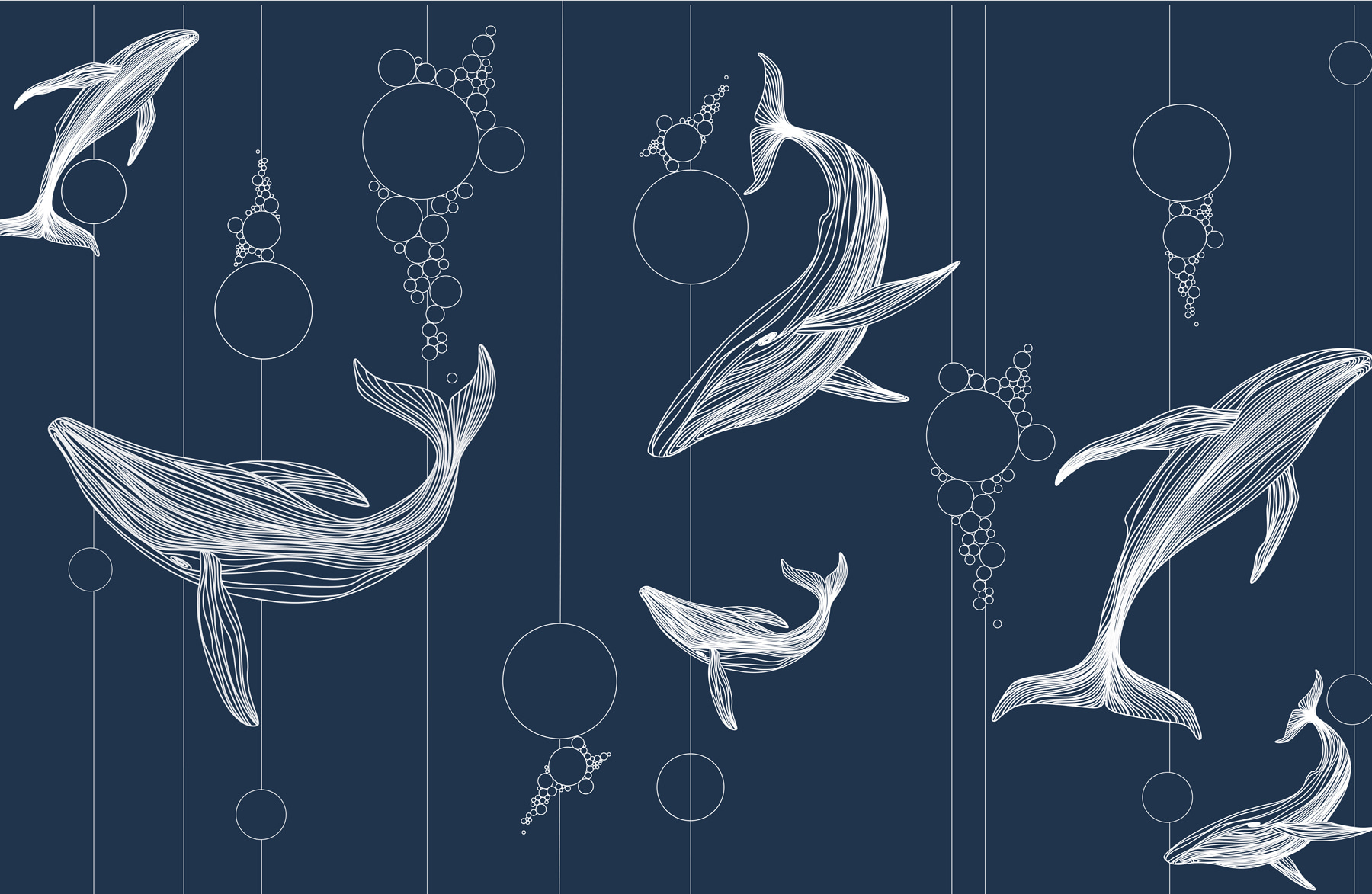 Group of whales and bubbles