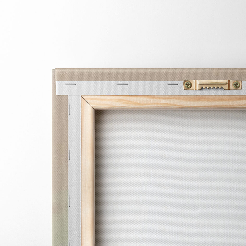 Flamingo standing in water Flamingo standing in water