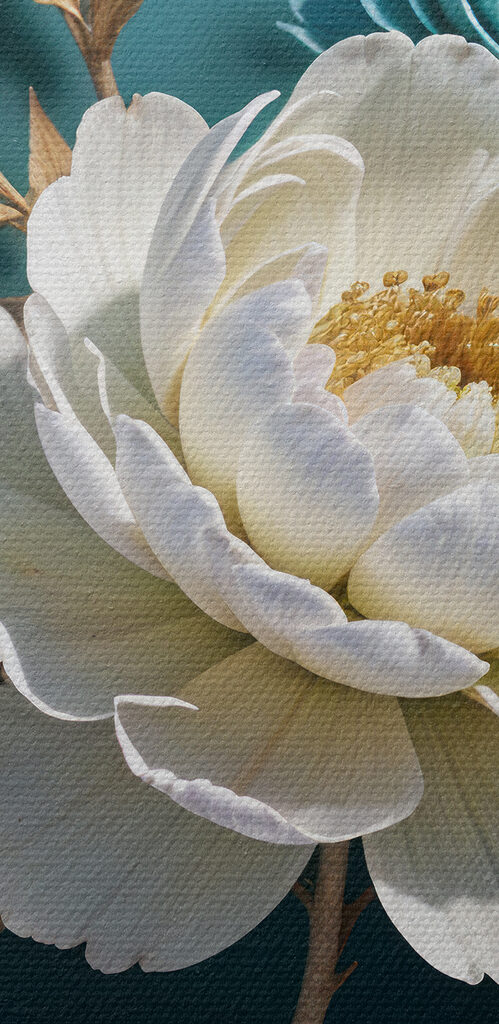Group of white and blue flowers