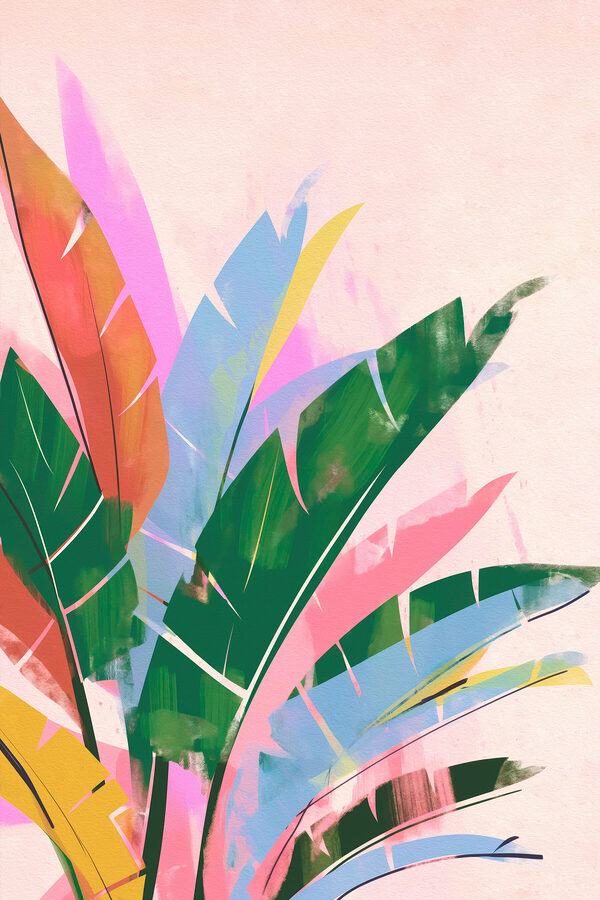 Colorful leaves on a white background Colorful leaves on a white background