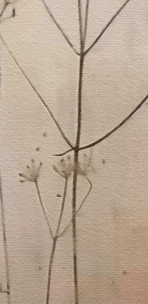 Plant with flowers on it