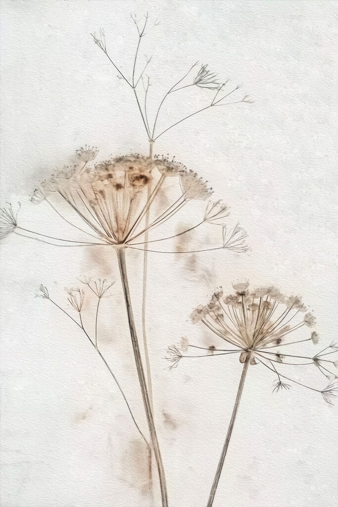 Close up of a plant