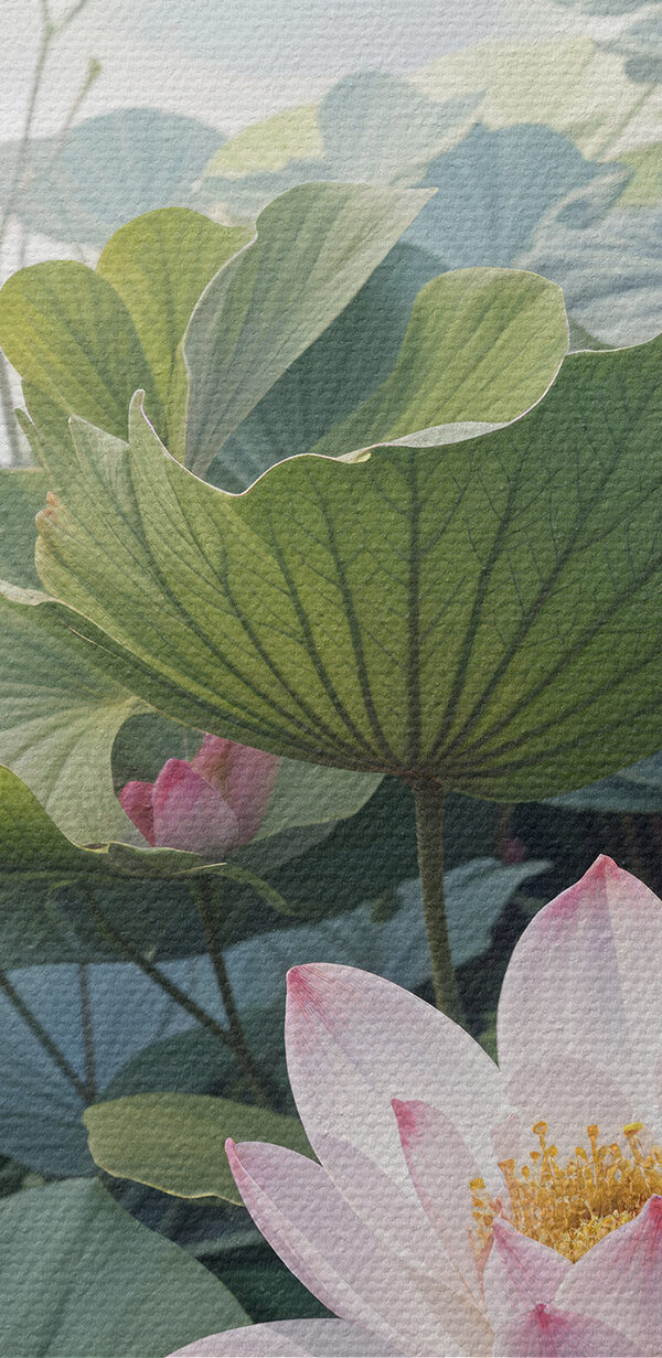 Group of pink flowers and green leaves Group of pink flowers and green leaves