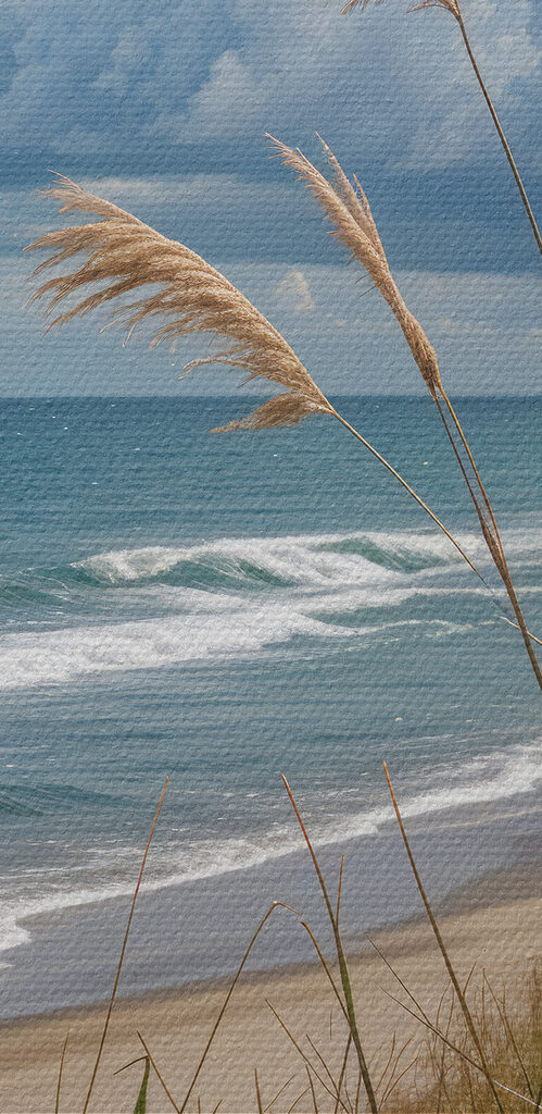 Beach with tall grass and water