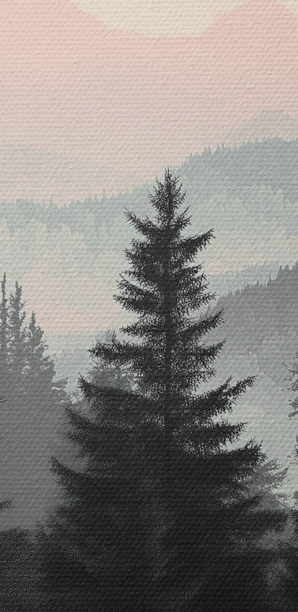 Group of trees in a forest