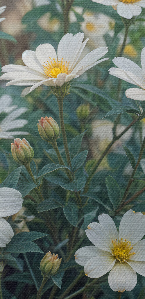 Group of white flowers Group of white flowers