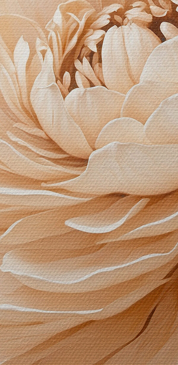Close up of a flower Close up of a flower
