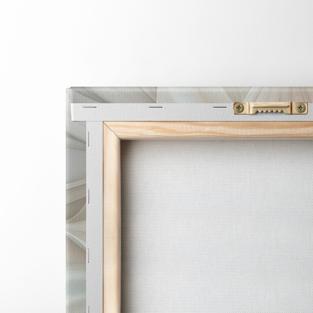 Close up of a flower