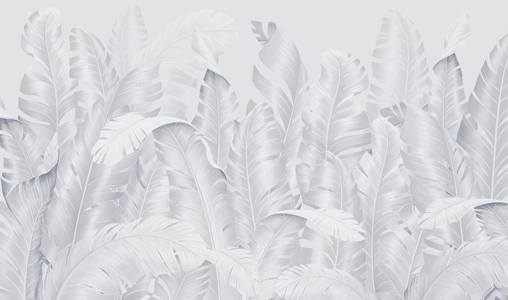 Group of white feathers