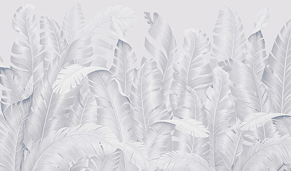 Group of white feathers