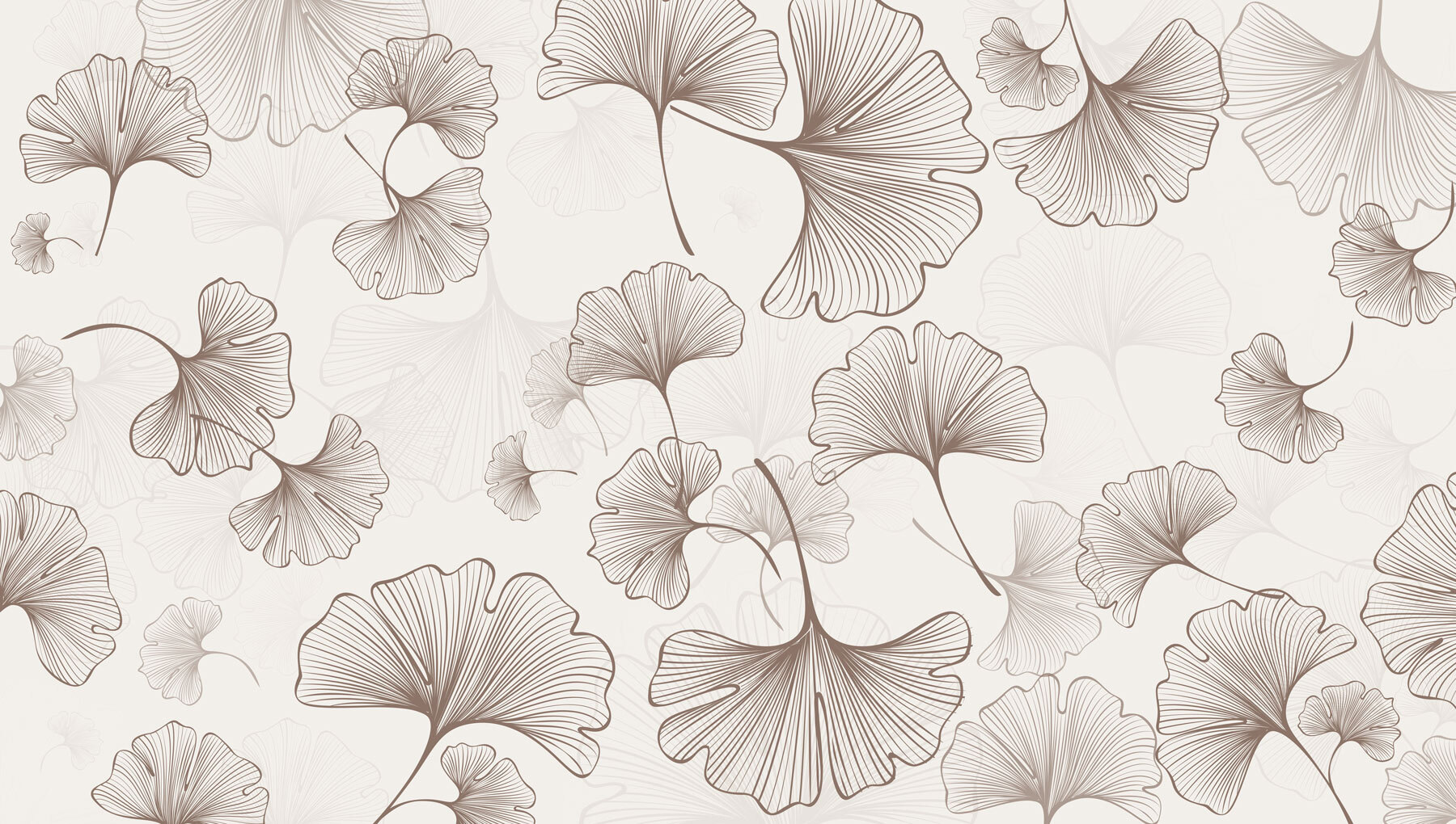 Pattern of leaves on a white background Pattern of leaves on a white background