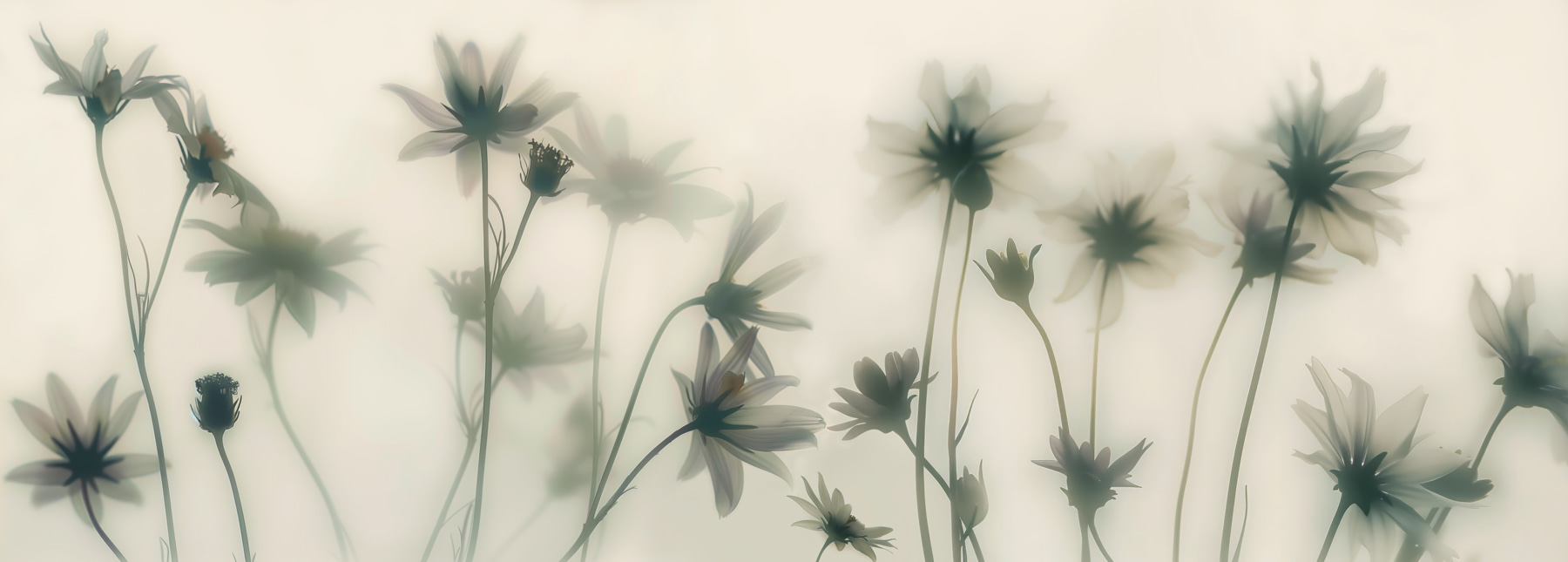 Group of flowers with stems Group of flowers with stems