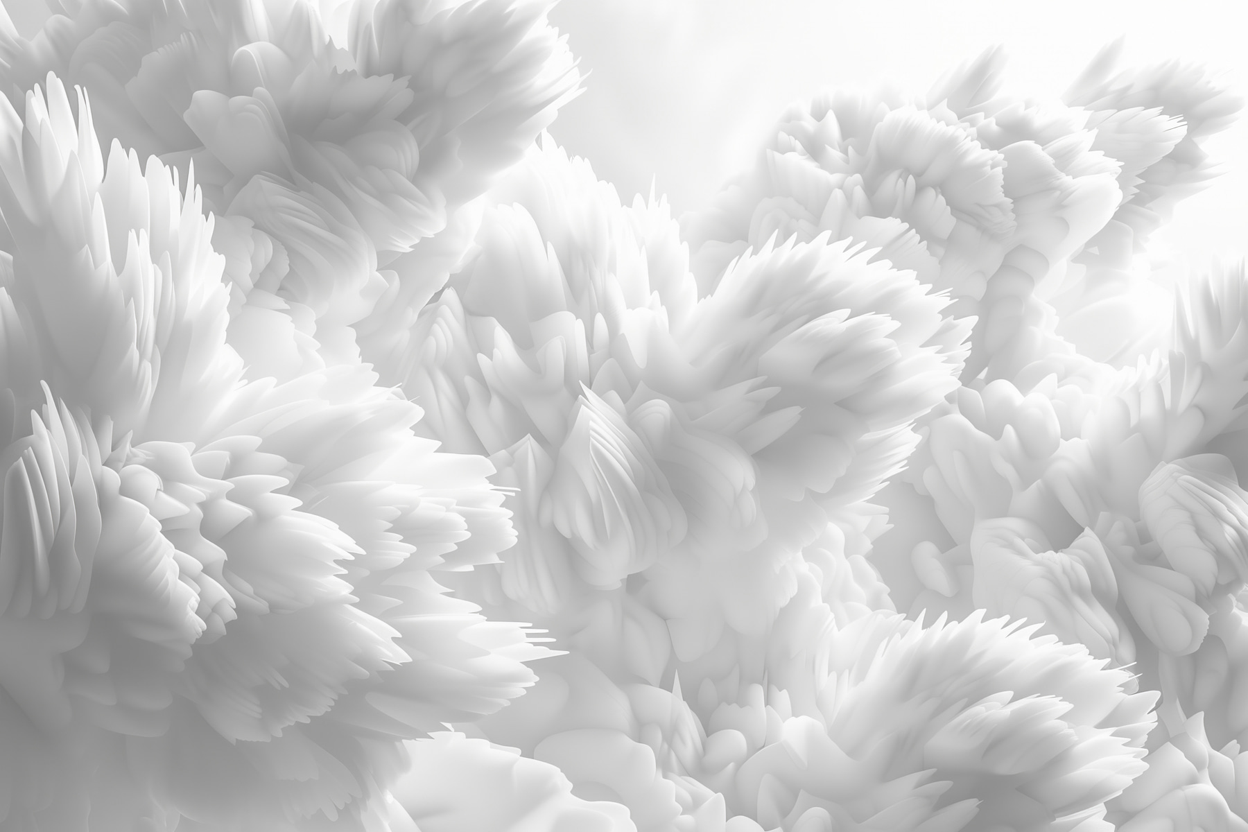 Close up of white fluffy objects