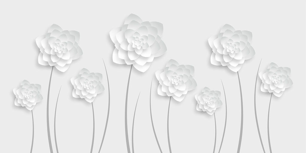 White paper flowers on a white background White paper flowers on a white background