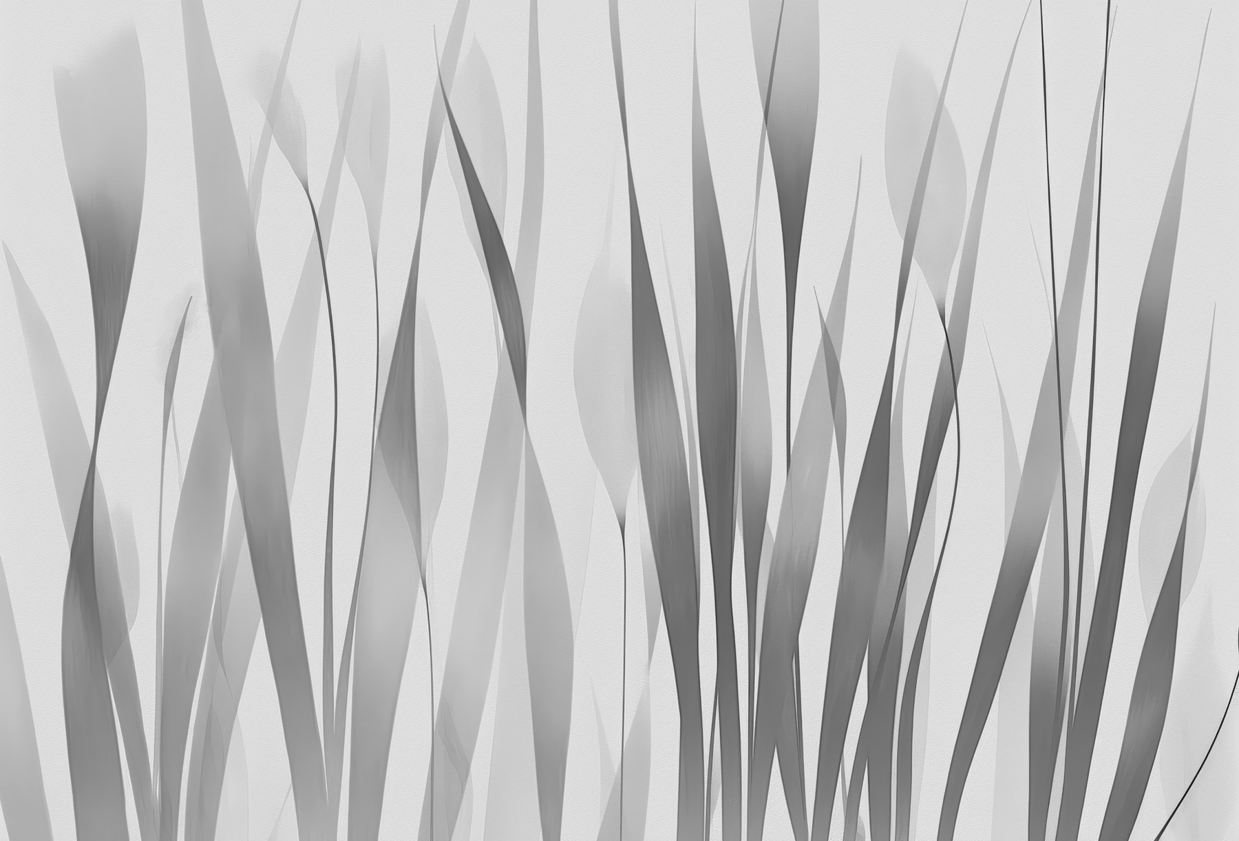 Grey and white image of plants