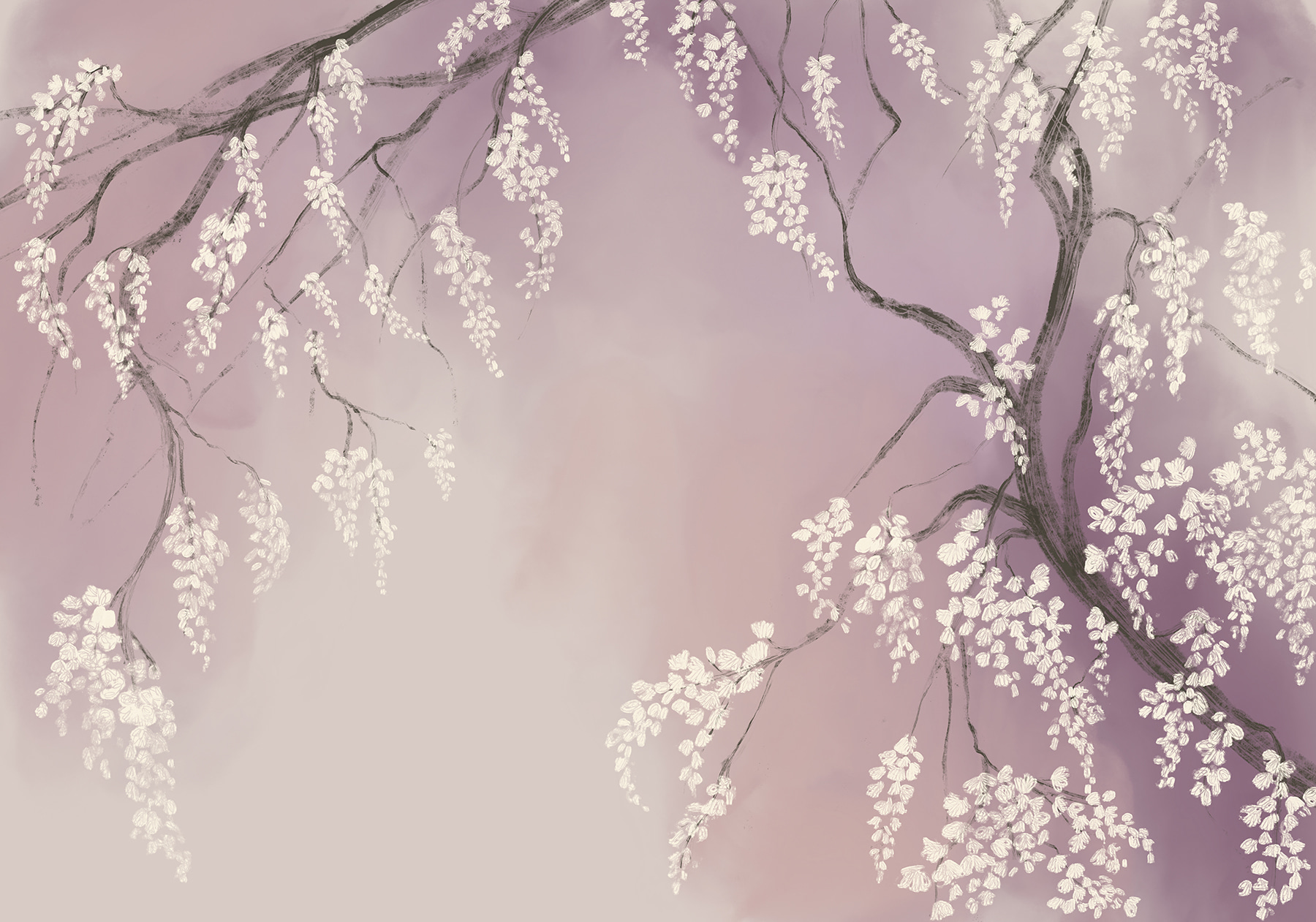 Tree branch with white flowers Tree branch with white flowers