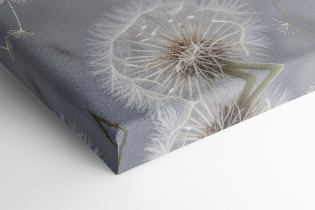 Group of dandelions with seeds flying Group of dandelions with seeds flying