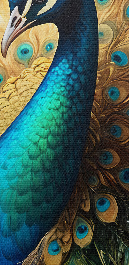 Peacock with its tail feathers spread out Peacock with its tail feathers spread out