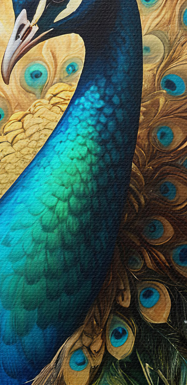 Peacock with its tail feathers spread out Peacock with its tail feathers spread out
