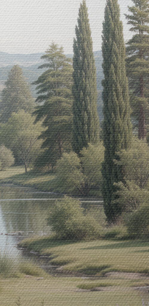 Lake with trees and grass and flowers
