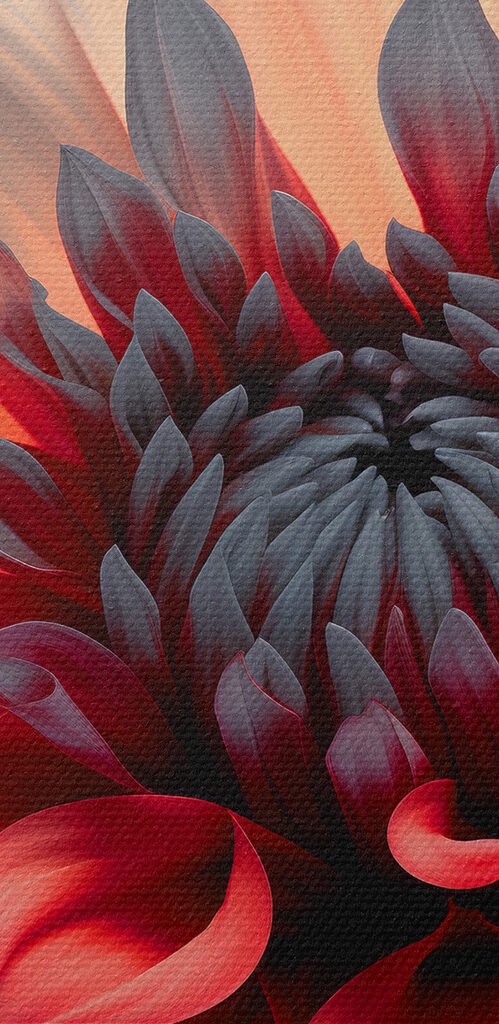 Close up of a flower