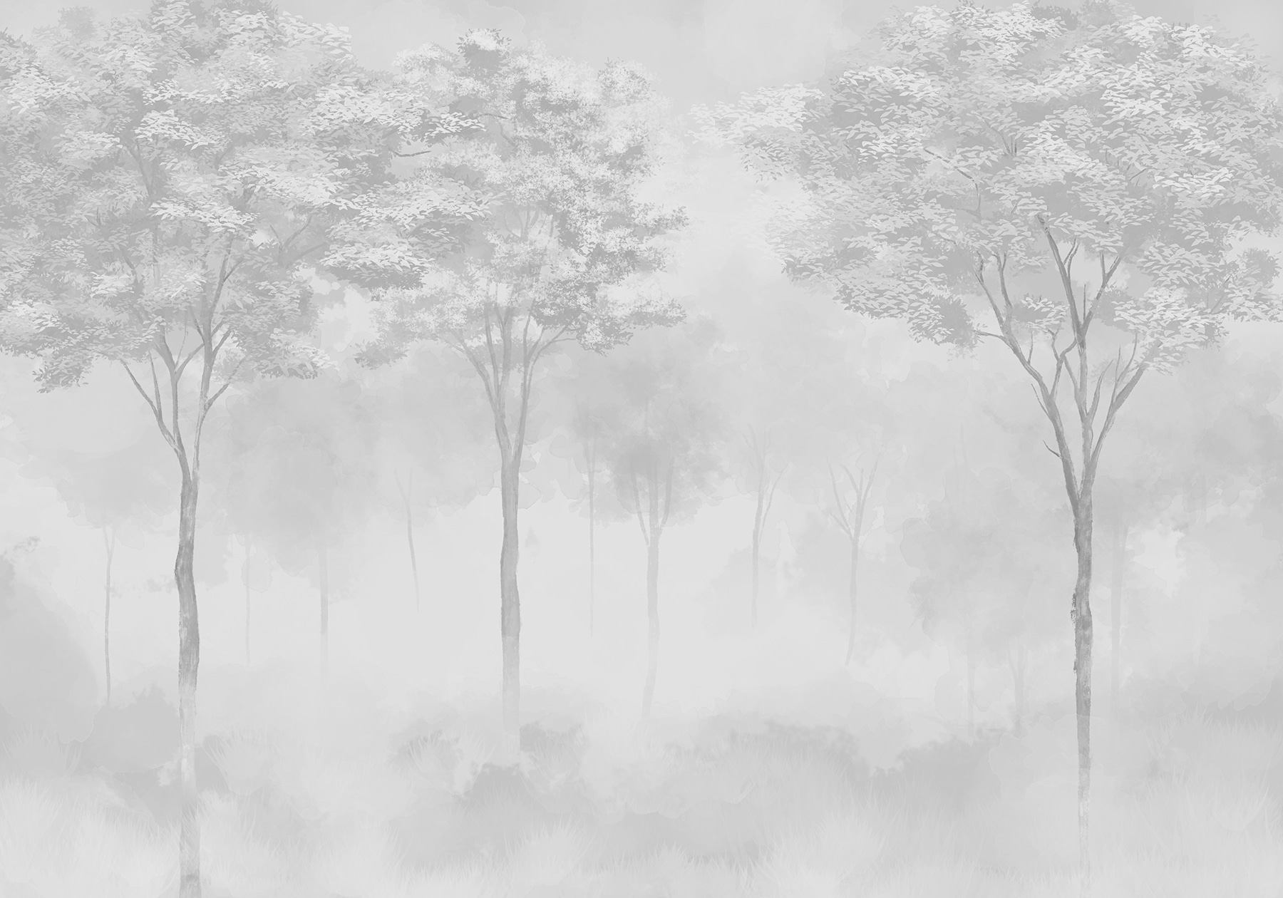 Group of trees in a foggy forest Group of trees in a foggy forest