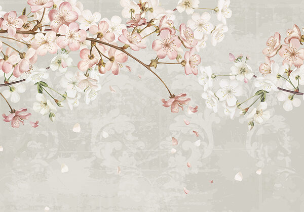 Close up of flowers Close up of flowers