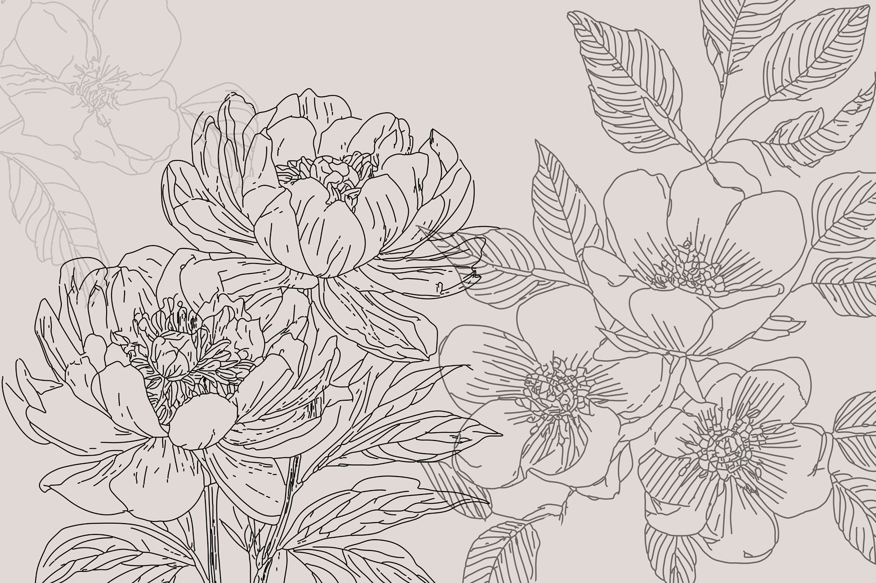Drawing of flowers and leaves Drawing of flowers and leaves