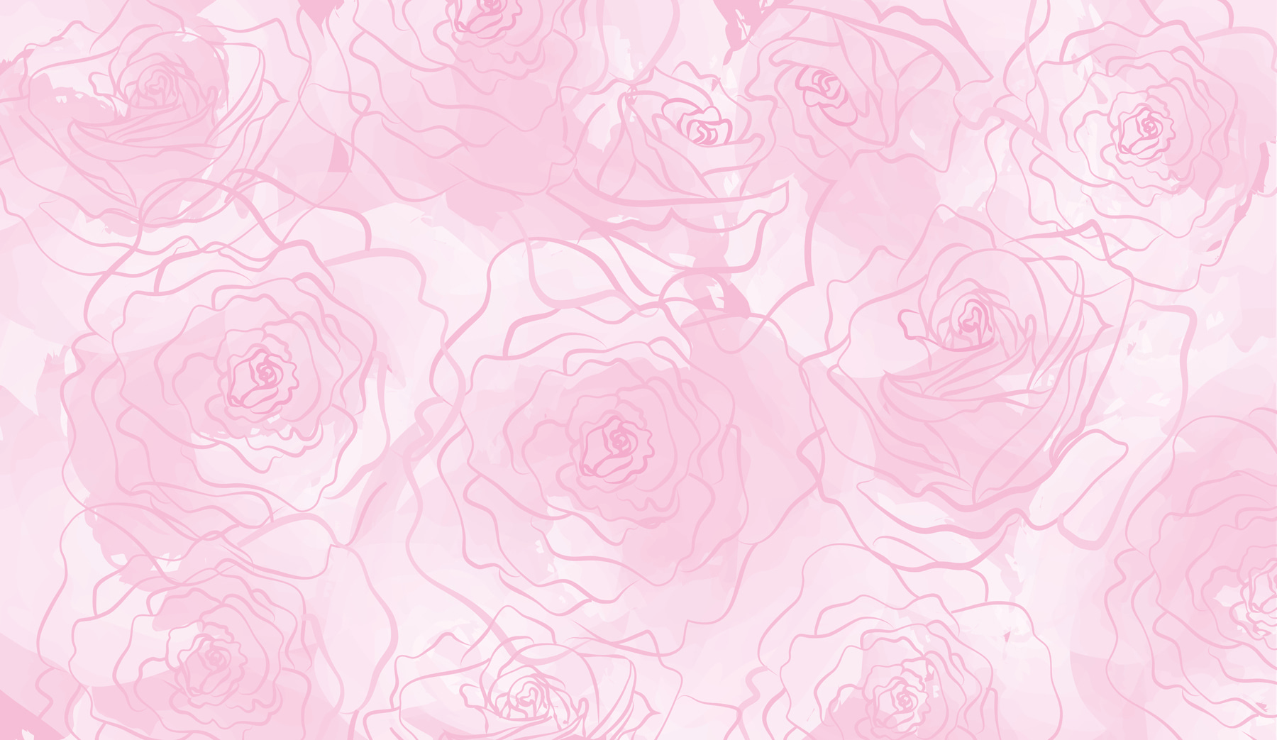 Pink roses on a white background